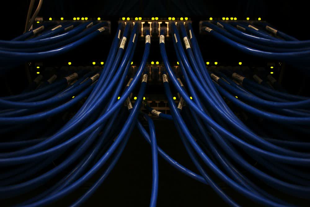 Blaue Netzwerkkabel an einem Patchfeld
